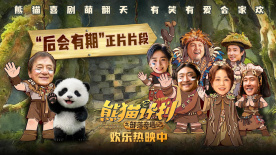 久久机热一这里只精品